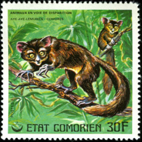 Stamp