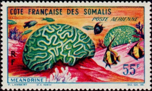 Stamp