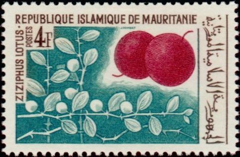 Stamp