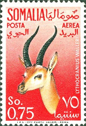 Stamp